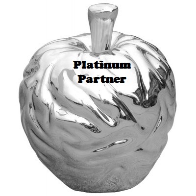 Platnium Partner